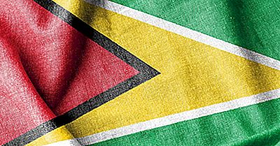 Hvilken Type Regering Har Guyana?