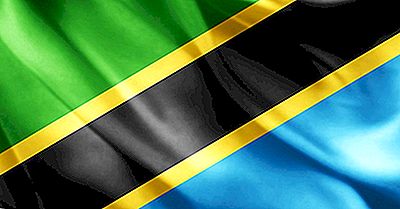 Vilken Typ Av Regering Har Tanzania?