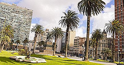 ¿Qué Tipo De Gobierno Tiene Uruguay?