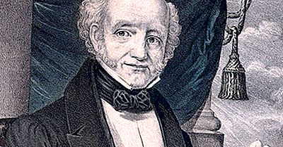 Quem Foi O Primeiro Presidente A Nascer Um Cidadão Americano?