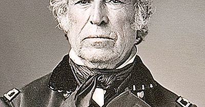 Zachary Taylor - 12. Präsident Der Vereinigten Staaten