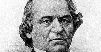 Andrew Johnson - Us Presidents In History