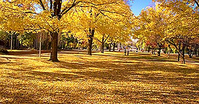 Australian National University - Institutions Dans Le Monde Entier