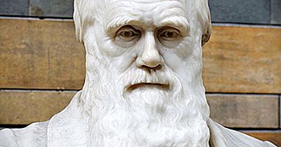 Charles Darwin - Belangrijke Figuren In De Geschiedenis