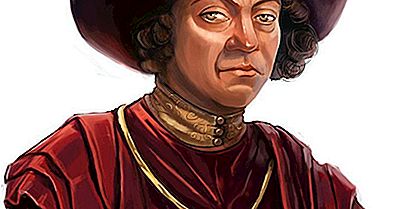 Christopher Columbus - Beroemde Ontdekkingsreizigers Van De Wereld