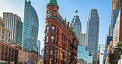 City Spotlight - Toronto, Canada