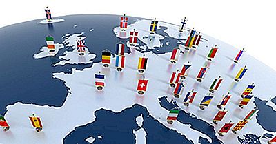 Europarådet - Organisationer Runt Om I Världen