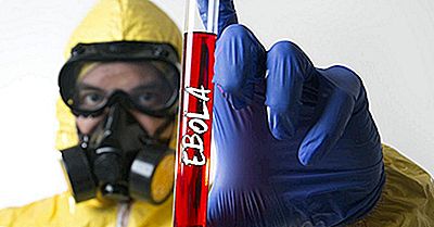 Ebola Fakten: Krankheiten Der Welt