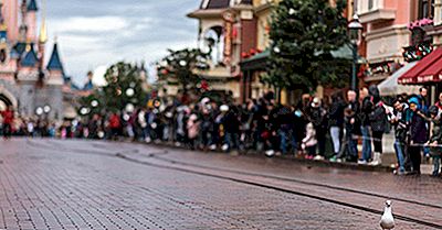 De Geschiedenis En Evolutie Van De Walt Disney Company