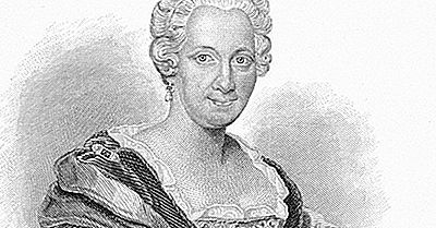 Maria Sibylla Merian: Cientistas Famosos Da História