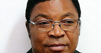 Premiers Ministres De Tanzanie