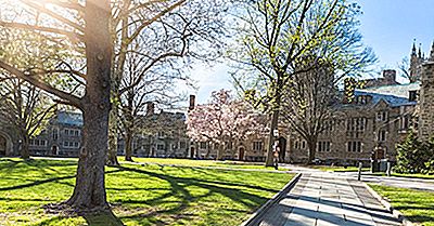 Princeton University - Utbildningsinstitutioner Runt Om I Världen