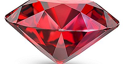 Ruby Importa Para Nós