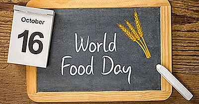 ¿Qué Y Cuándo Es El Día Mundial De La Alimentación?
