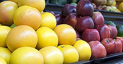 Was Ist Die Bedeutung Der United Fruit Company?