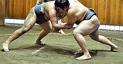 Was Ist Sumo?