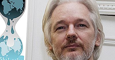 Hva Er Wikileaks? Er Det En Kriminell Handling?