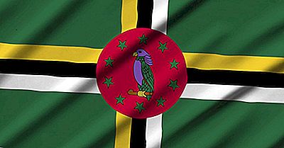 Ce Limbi Vorbesc În Dominica?