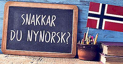 Hvilke Sprog Tales I Norge?