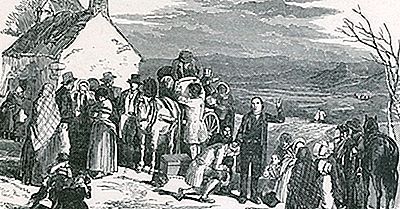 Care A Fost Foametea Cartofilor Irlandezi?