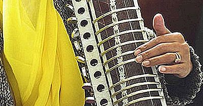 ¿Quiénes Son Los Punjabi?
