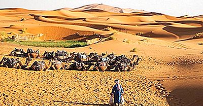 ¿Quiénes Son Los Tuareg Del Sahara?