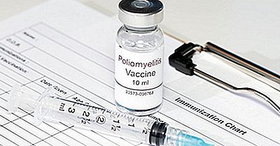 Wie Heeft Het Poliovaccin Uitgevonden?