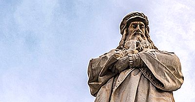 Vem Var Leonardo Da Vinci?