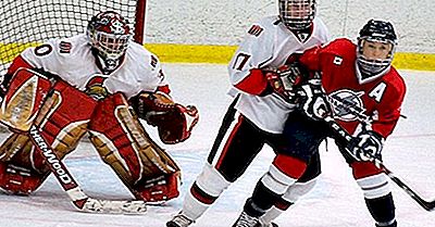Women'S Sports Leagues Of North America