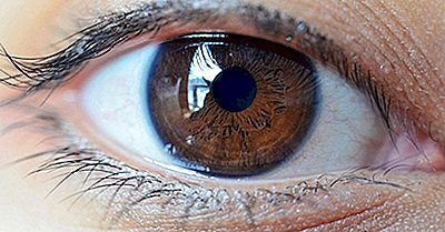 La Población Mundial Por Porcentajes De Color De Ojos