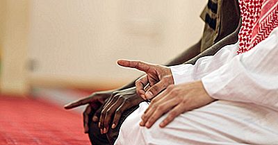 År 2050: Top 10 Lande, Der Har De Højeste Muslimske Befolkninger