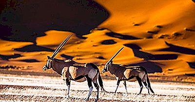 10 Saker Du Inte Visste Om Namibia