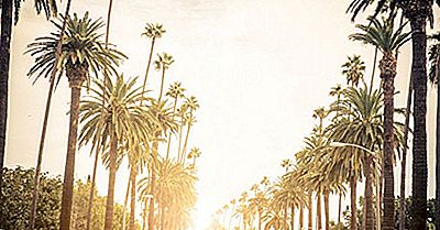 6 Konstiga Saker Att Göra I Los Angeles