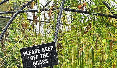 Der Alnwick Poison Garden Von Northumberland England 2020