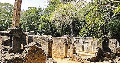 Les Anciennes Ruines Gedi Du Kenya
