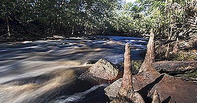 Sites Archéologiques De La Rivière Aucilla