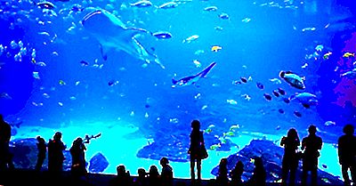 Les Meilleurs Aquariums Du Monde