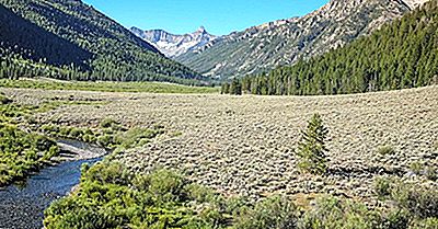 Les Plus Grandes Forêts Nationales Des États-Unis