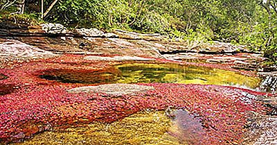 Caño Cristales River, Colombia - Unieke Plaatsen Over De Hele Wereld