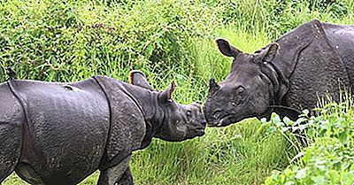 Chitwan Nasjonalpark, Nepal