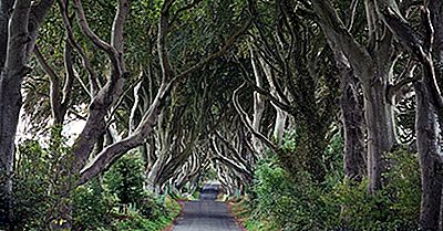 Dark Hedges, Noord-Ierland - Unieke Plaatsen Over De Hele Wereld