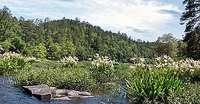 Villes Fantômes D'Amérique: Cahaba, Alabama