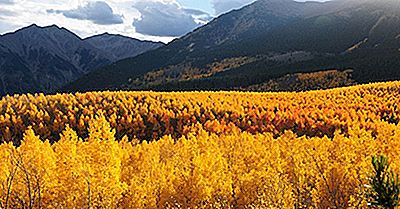 Os Picos Mais Altos Das Montanhas Rochosas