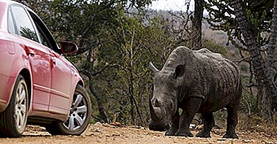Parc National Kruger, Afrique Du Sud - Lieux Uniques À Travers Le Monde