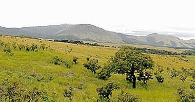 Lopé-Okanda Natürliche Und Archäologische Stätten Von Gabun