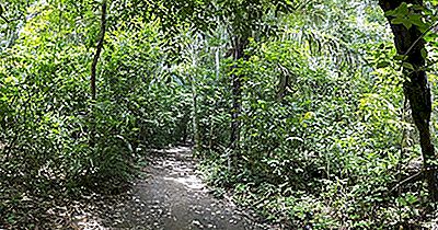 Parque Nacional Madidi, Bolívia