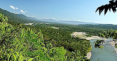 Manu National Park, Perù