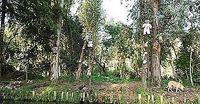 Insula Ciudată A Păpușilor Din Mexic
