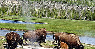 Älteste Nationalparks In Den Vereinigten Staaten