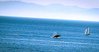 Playa Novillero, Mexiko - Einzigartige Orte Auf Der Ganzen Welt